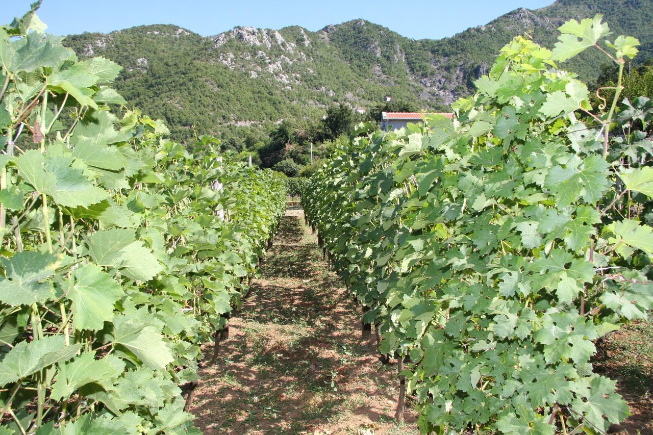 Vrzina Farm House Skadar Lake Virpazar Eksteriør billede