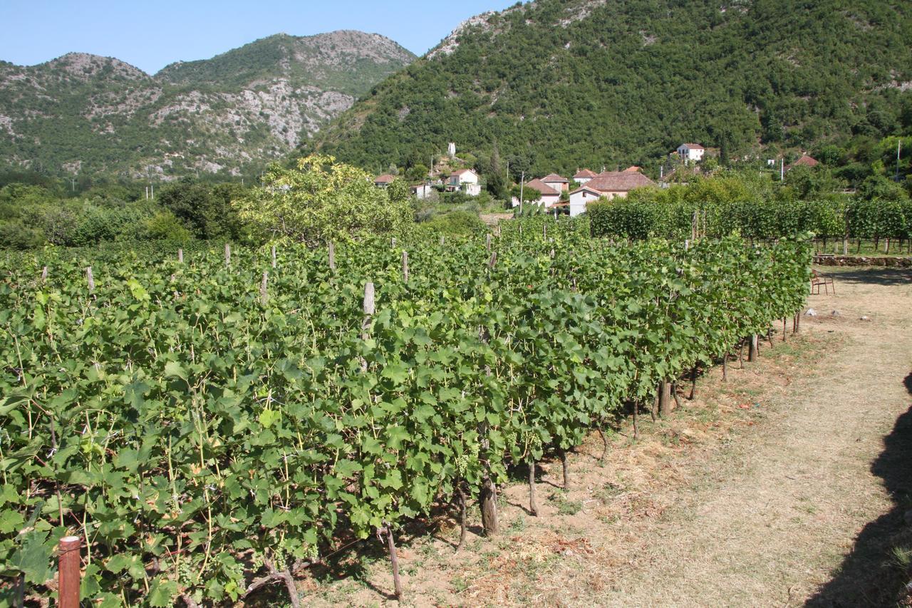 Vrzina Farm House Skadar Lake Virpazar Eksteriør billede