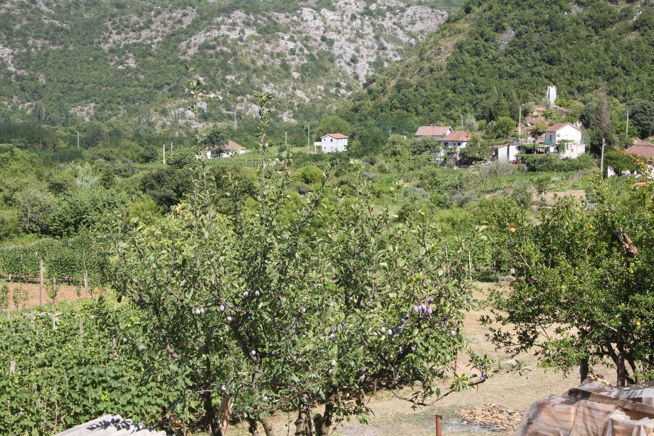 Vrzina Farm House Skadar Lake Virpazar Eksteriør billede