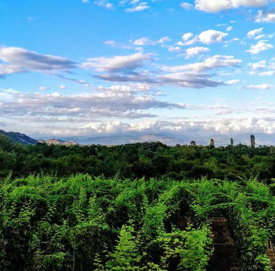 Vrzina Farm House Skadar Lake Virpazar Eksteriør billede